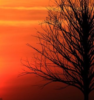 Post: Queimadas e clima seco mudam a cor do céu