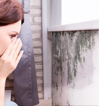 Post: Desvendando o Mistério do Mofo em Casa: Um Guia Completo para um Ambiente Livre de Fungos Nocivos